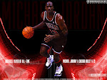 Michael Jordan- My Idol