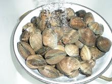Fresh Clams For Steamers