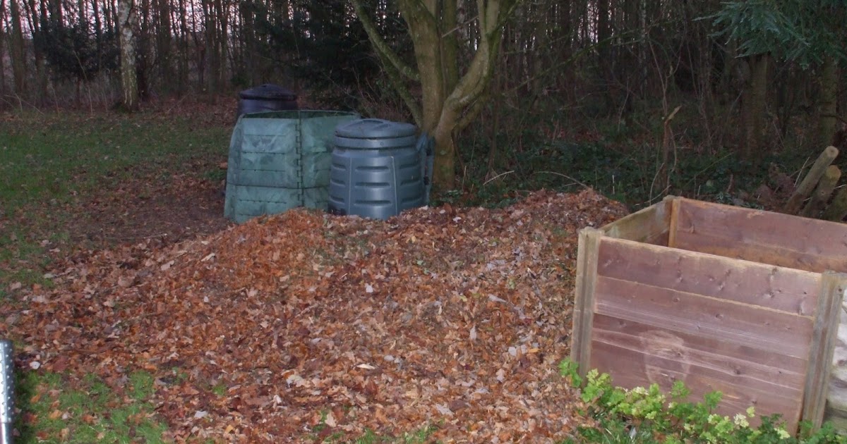 The Compost Bin Leaf Mould