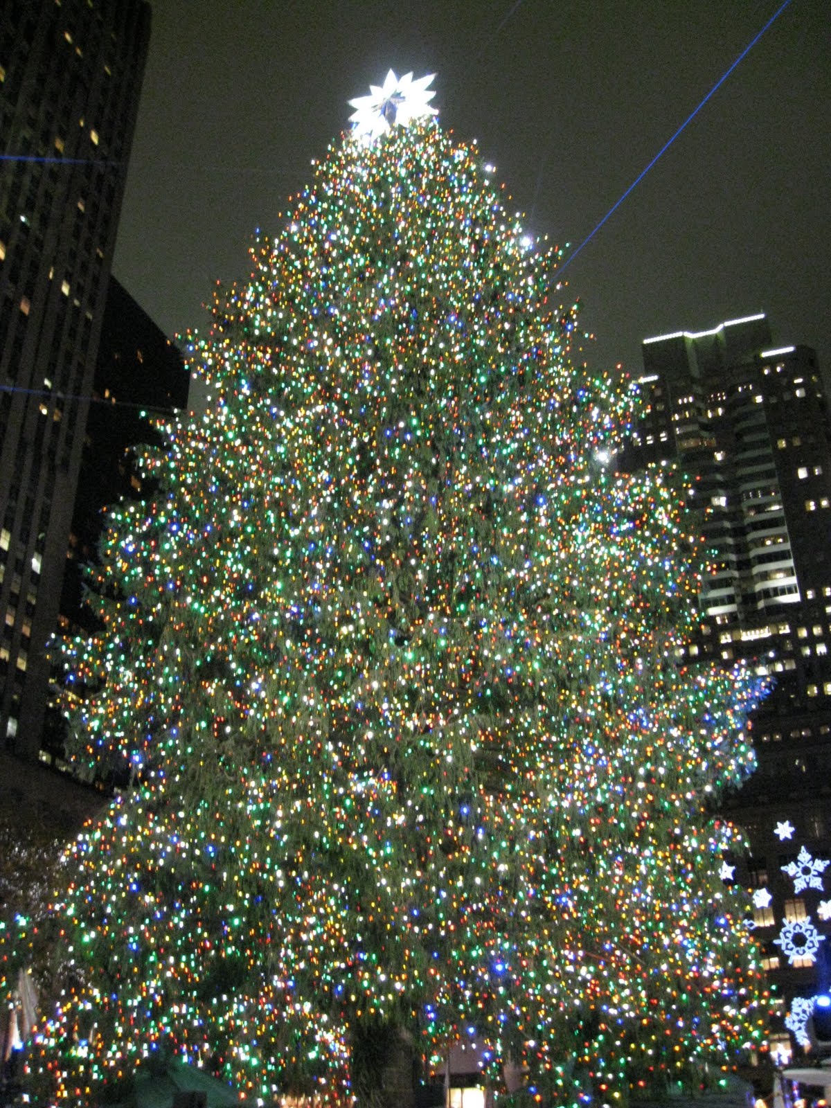 [Christmas+Tree+Lighting+098.jpg]