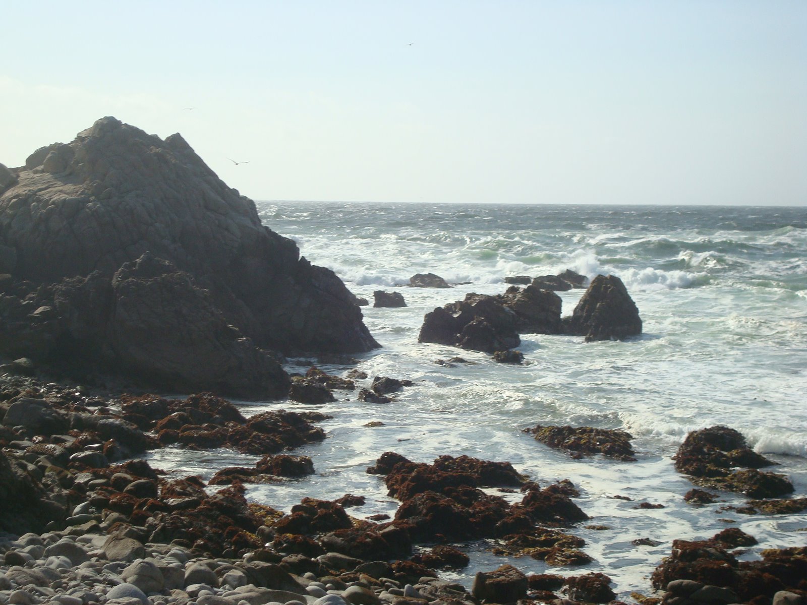 [DSC05750.JPG]