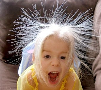 كم يبلغ عدد الشعر في رأس الانسان ثقافة أونلاين