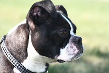 Winston