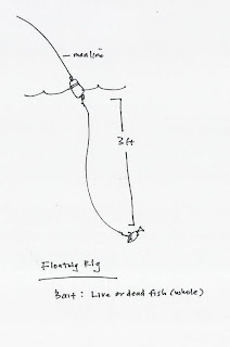 What The Fish Tutorial 12 Basic Fishing Rigs