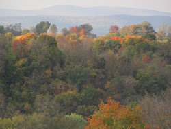 View from my Classroom Window