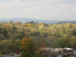 Another View from my Classroom