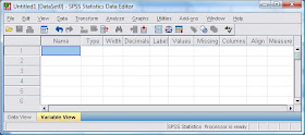 Segalanya Tentang Spss Menginput Data Pada Spss Bag 4