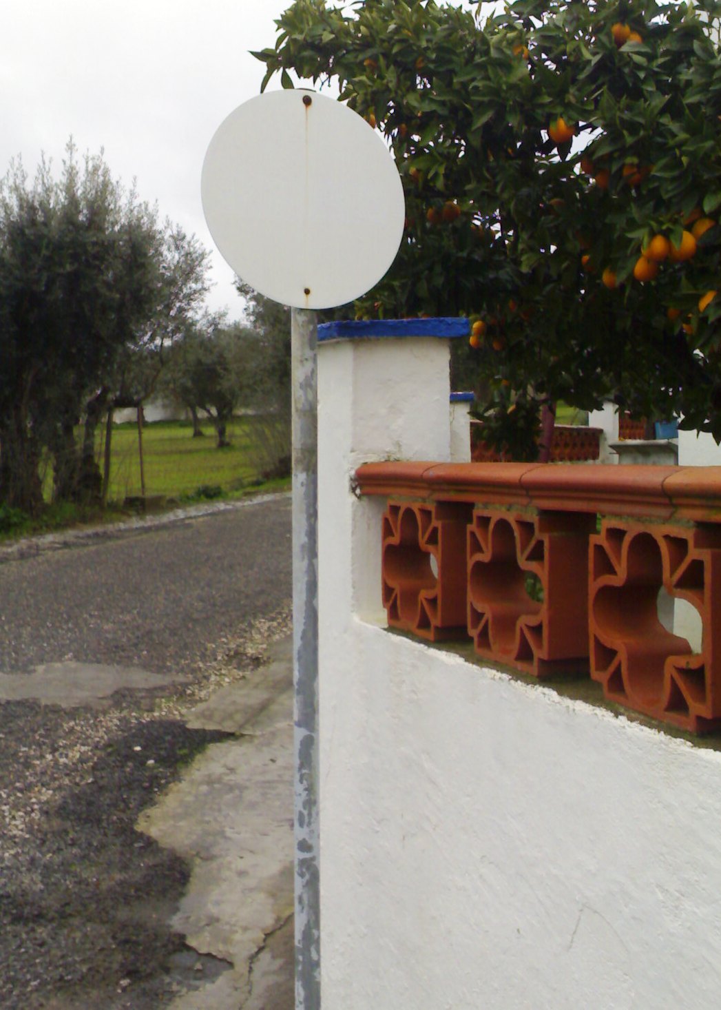 [09022009482.jpg]