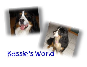 Kassie's World
