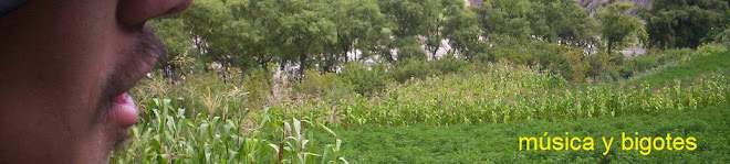 musica y bigotes