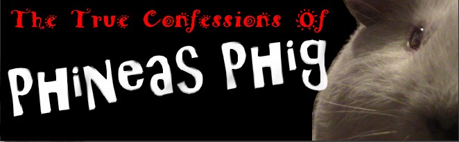 The True Confessions of Phineas Phig