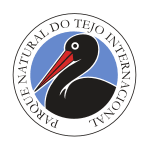 [logo_tejointernacional.gif]