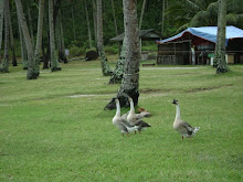 sebuah ketenangan