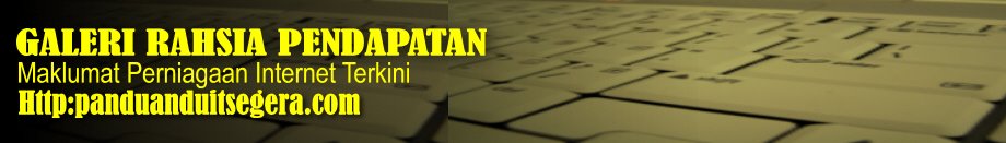 Panduan Duit Segera:Perniagaan Internet Tips Duit Segera