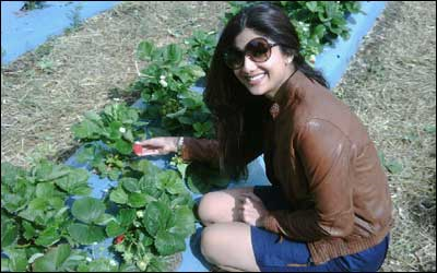 Shilpa And Kundra In Paris For Enjoying Second Honeymoon