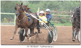 Etudes pour devenir lad jockey soigneur Autre