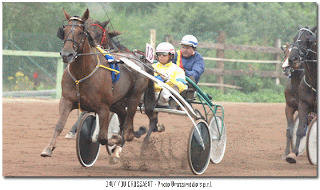 Etudes pour devenir lad jockey soigneur  Autre