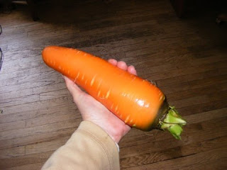 big+carrot+in+my+hand.JPG