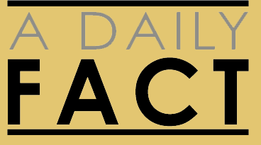 A Daily Fact