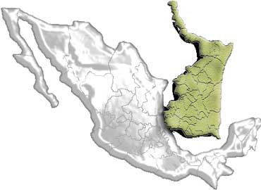 Tamaulipas