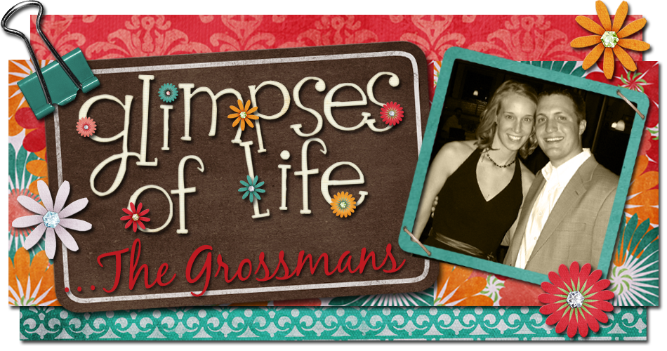 Glimpses of Life...the Grossmans