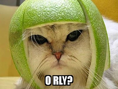 The Presurfer: Top 10 Internet Memes