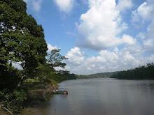 Kinabatangan River