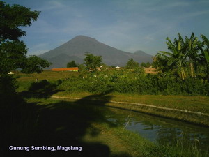 Kampungku