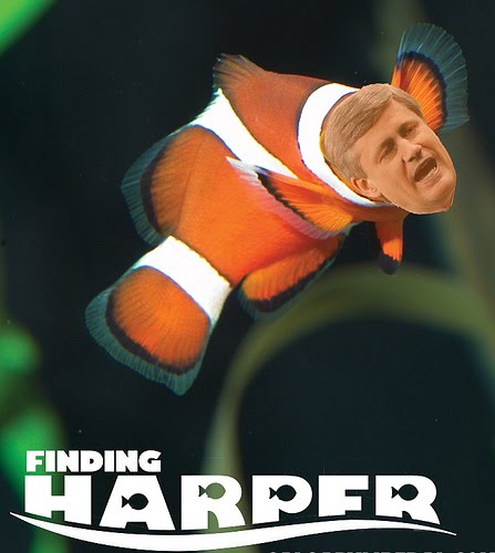[Nemo.jpg]
