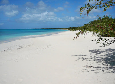 Barbuda Cottages