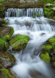 Rios de águas vivas....