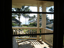 View of lanai from living area