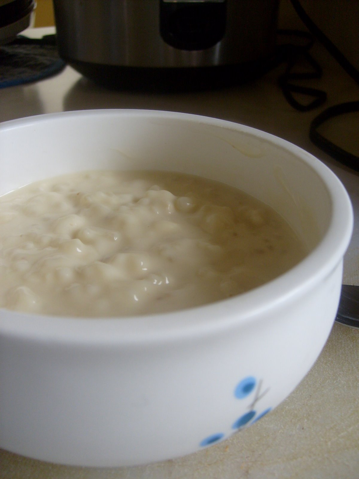 [Tapioca+Pudding+(1).JPG]
