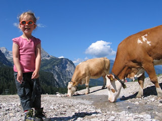 Op de Ehrwalder Alm