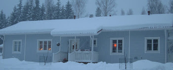 Talo joulukuussa 2010