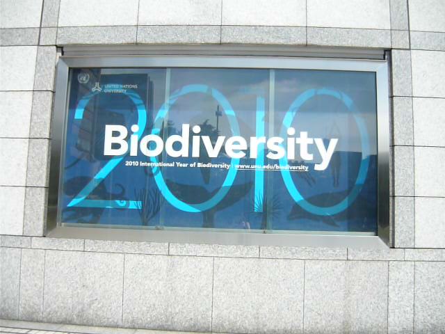 2010 UN Year of Biodiversity