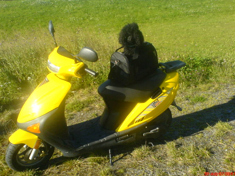 [image-upload-101-734700.jpe]