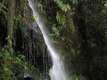 Waterfall - Mount Jerai