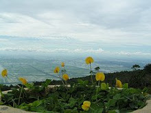 From the peak of Gunung Jerai