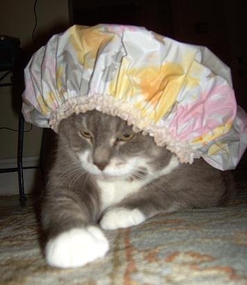 [LUTZY+SHOWERCAP.JPG]