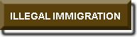 ILLEGAL IMMIGRATION