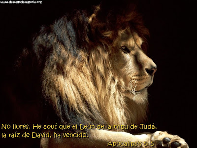 Leon De Juda