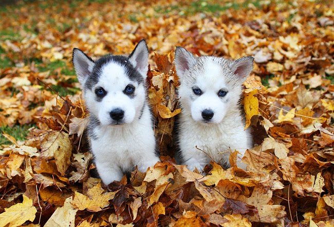 [IMG_5605rev_small.jpg]