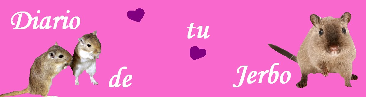 DiaRio De Tu JeRbO