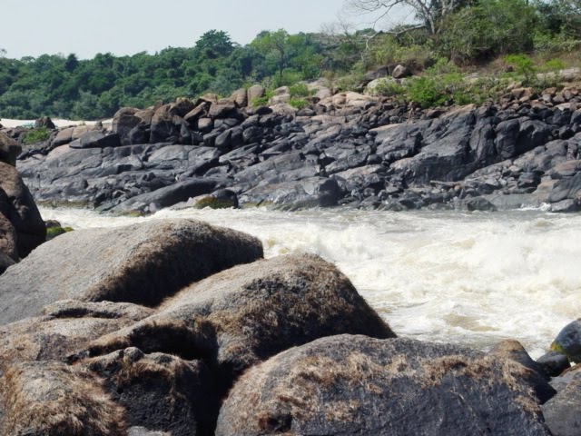 [DSC03126.JPG]