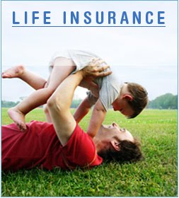 funny life insurance