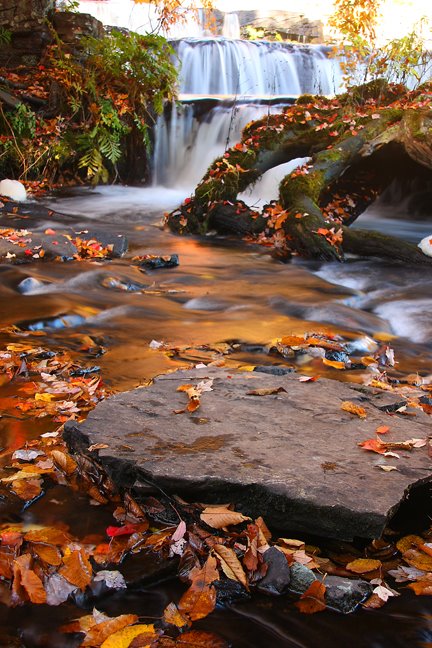 [autumn_falls.jpg]