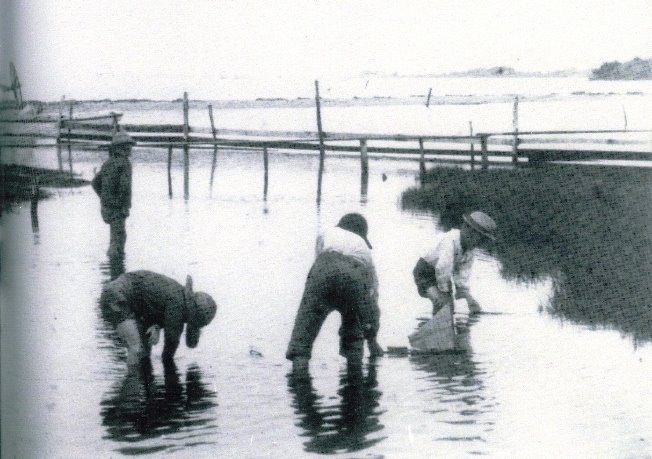 Clammers