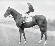 Hyperion 1933 Derby Winner