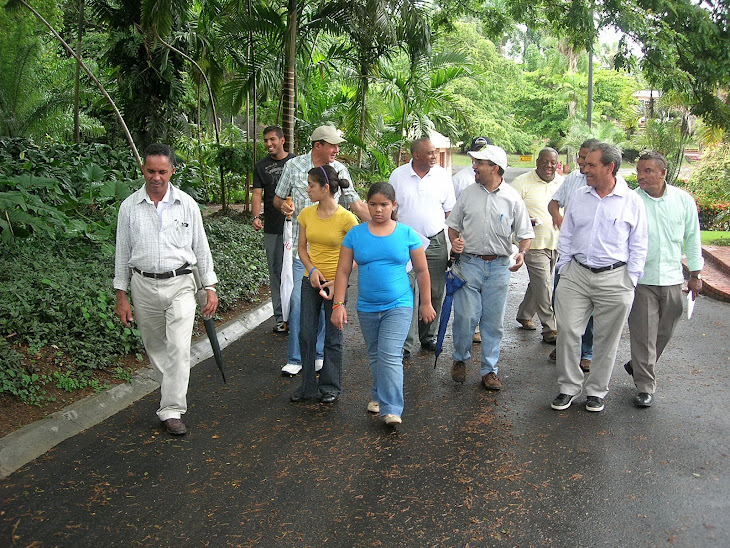 Recorrido Apibotánico por el Jardín